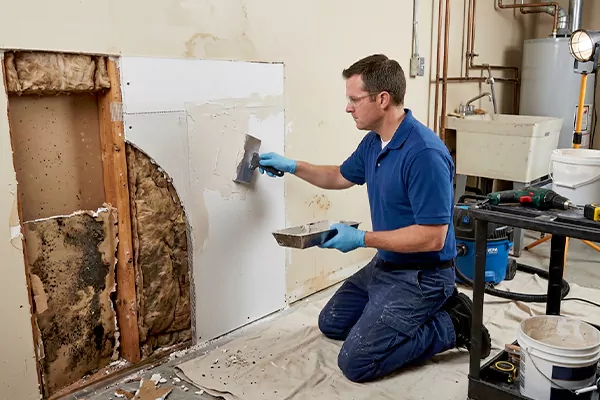Mold and Drywall Repair Desoto