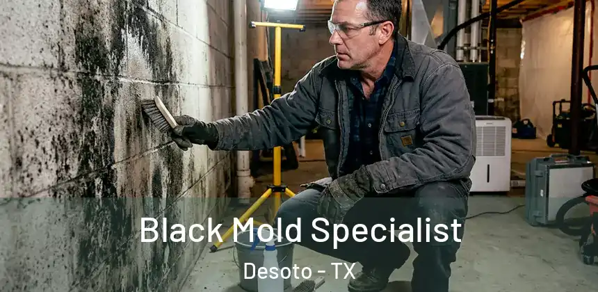 Black Mold Specialist Desoto - TX