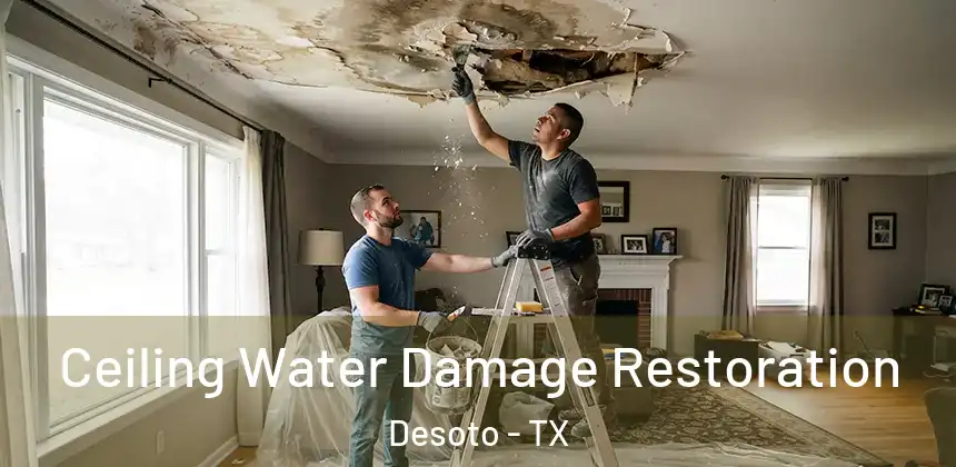 Ceiling Water Damage Restoration Desoto - TX