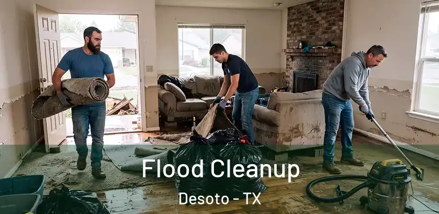  Flood Cleanup Desoto - TX