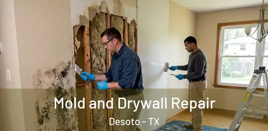  Mold and Drywall Repair Desoto - TX