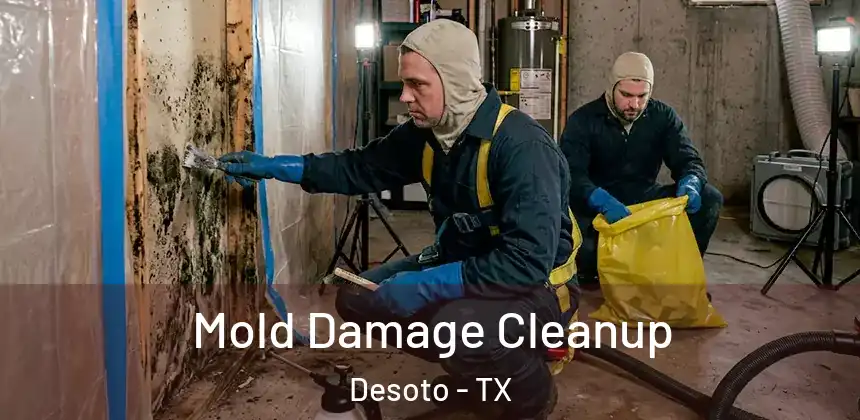  Mold Damage Cleanup Desoto - TX