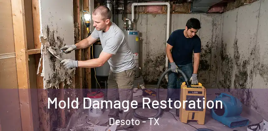  Mold Damage Restoration Desoto - TX