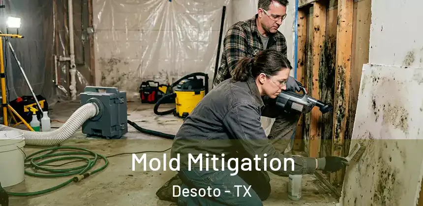  Mold Mitigation Desoto - TX