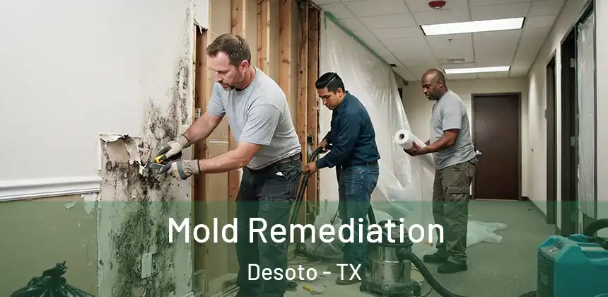 Mold Remediation Desoto - TX