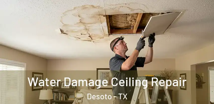 Water Damage Ceiling Repair Desoto - TX