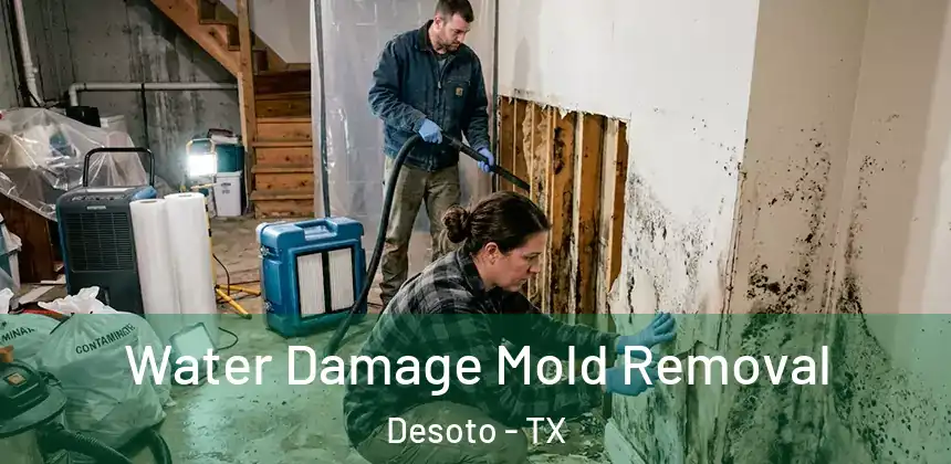  Water Damage Mold Removal Desoto - TX