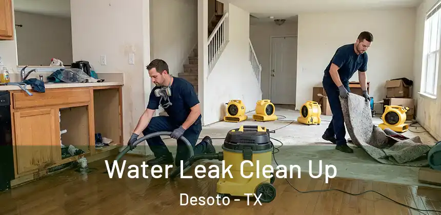  Water Leak Clean Up Desoto - TX
